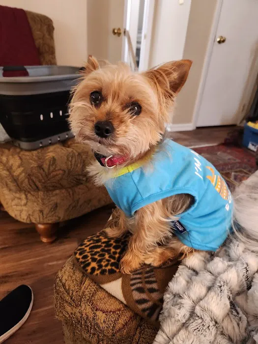 Banfield Pet Hospital Picture 3