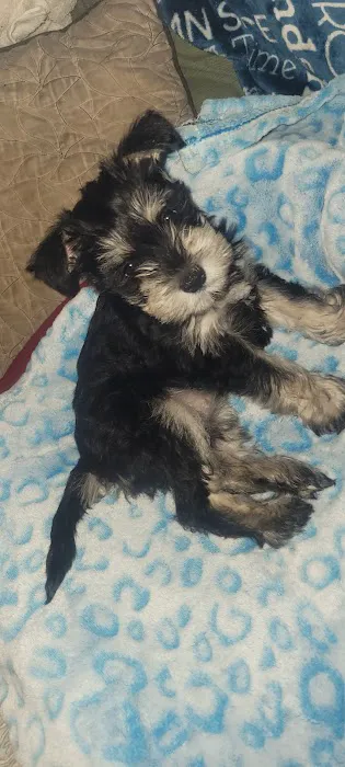 Banfield Pet Hospital Picture 1