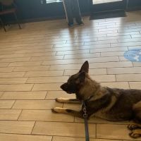 Quail Hollow Veterinary Hospital ico