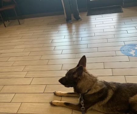 Quail Hollow Veterinary Hospital