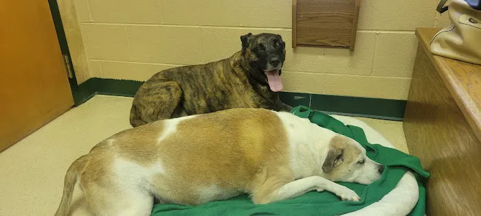 Waxhaw Animal Hospital Picture 4