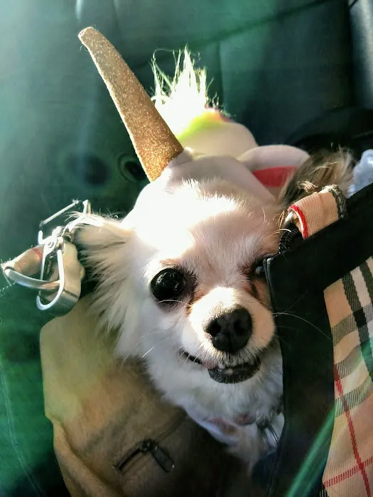 Waxhaw Animal Hospital Picture 5