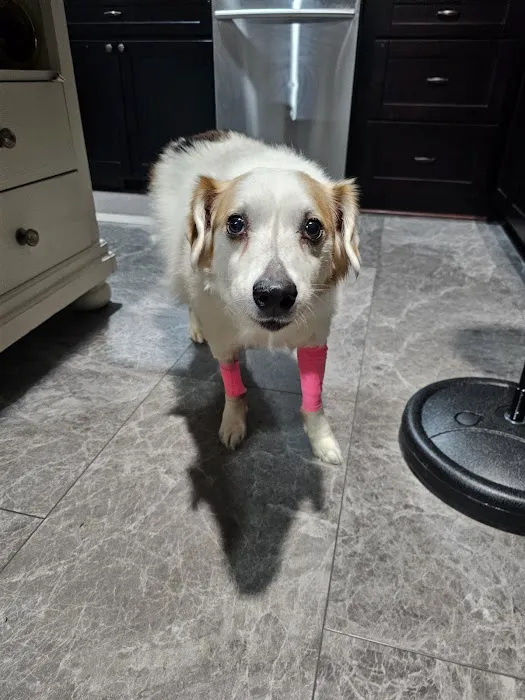 Waxhaw Animal Hospital Picture 1