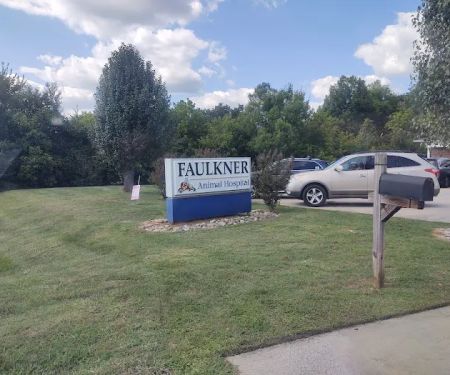 Faulkner Animal Hospital: Knox Daniel B DVM