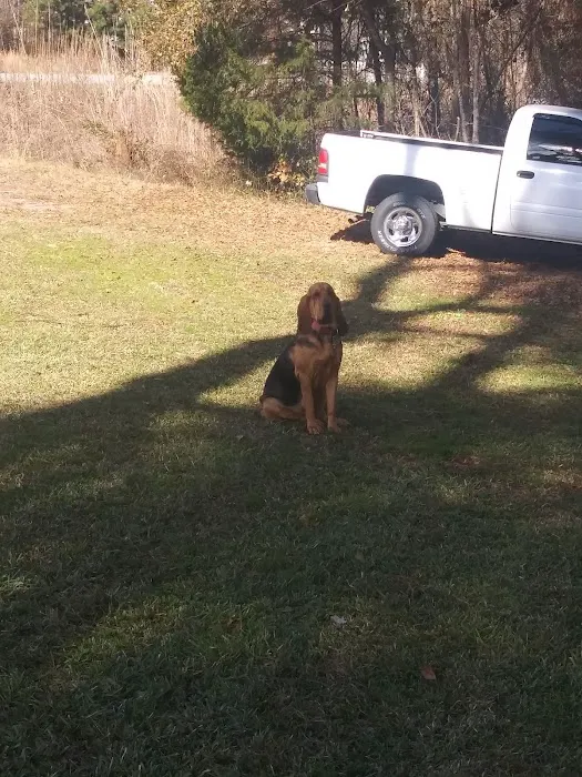 Faulkner Animal Hospital: Knox Daniel B DVM Picture 4