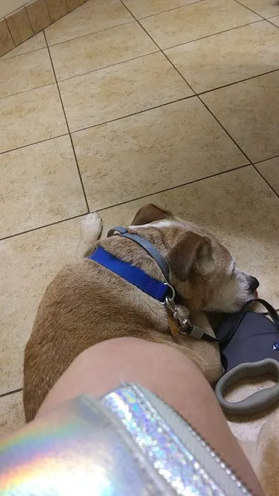 Faulkner Animal Hospital: Glenn Brent DVM Picture 1