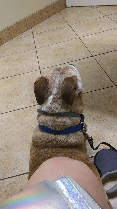 Faulkner Animal Hospital: Glenn Brent DVM Picture 2