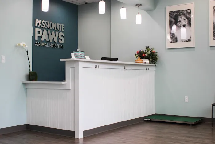 Passionate Paws Animal Hospital Picture 7
