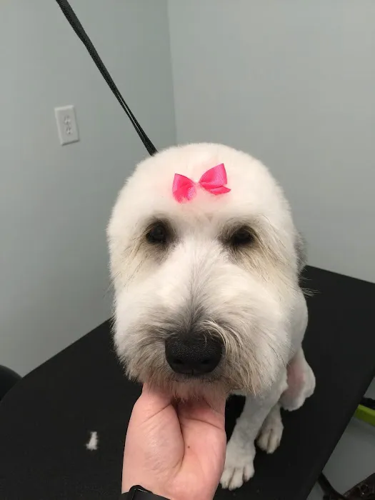 Passionate Paws Animal Hospital Picture 2