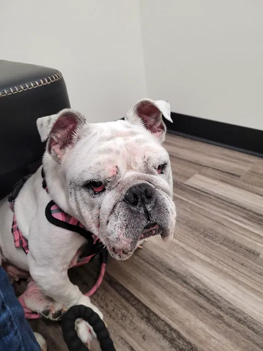 Avery Animal Clinic Picture 3