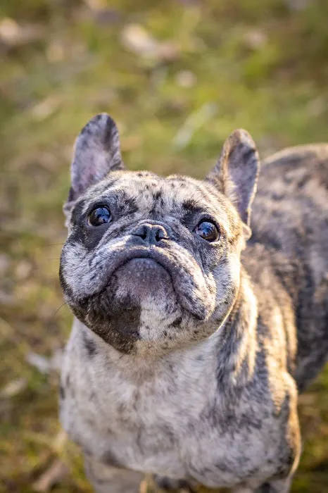 Avery Animal Clinic Picture 5