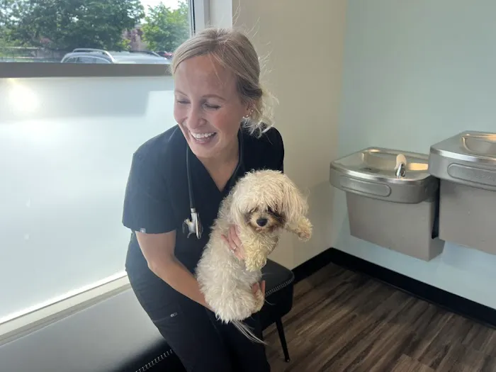 Avery Animal Clinic Picture 7