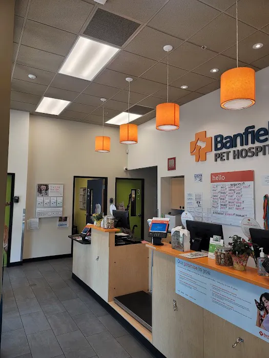 Banfield Pet Hospital Picture 2