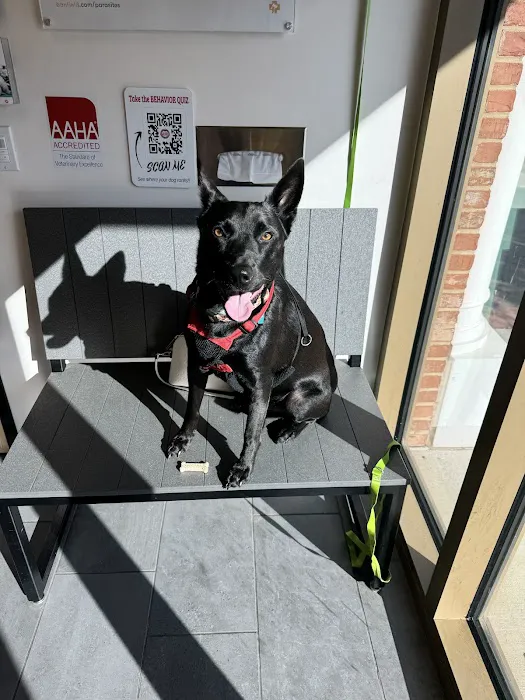 Banfield Pet Hospital Picture 10