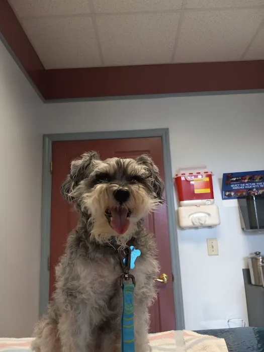 Central Providence Veterinary Hospital Picture 9