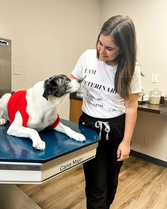 Cotswold Animal Hospital Picture 4
