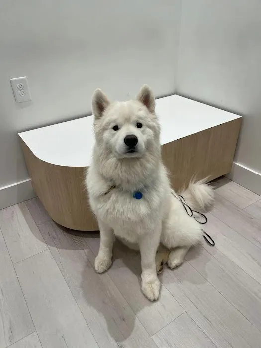 Petfolk Veterinary & Urgent Care - SouthPark Picture 9