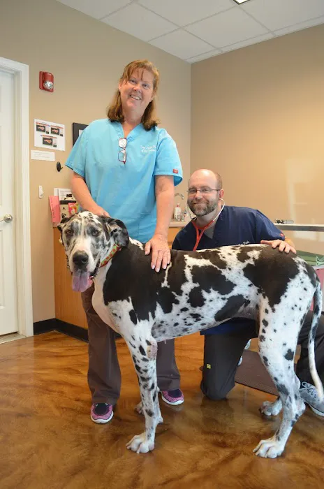 Spay Neuter Clinic of the Carolinas Picture 7