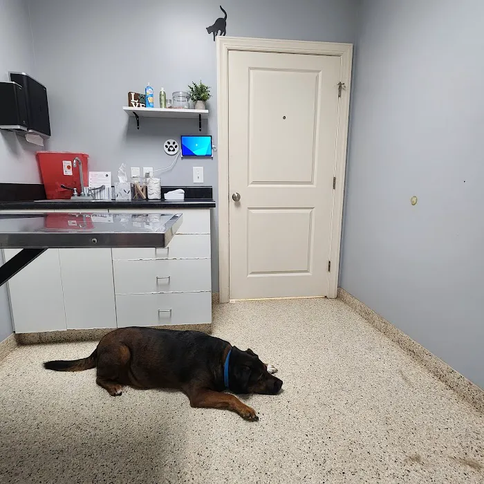 Lakeside Animal Hospital Picture 2