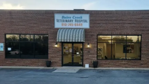 Buies Creek Veterinary Hospital and Dental Clinic Picture 3