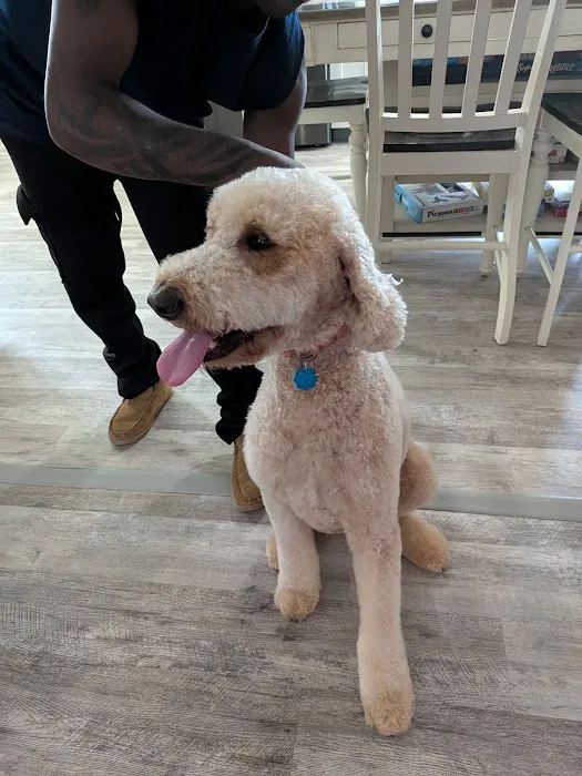 Buies Creek Veterinary Hospital and Dental Clinic Picture 8