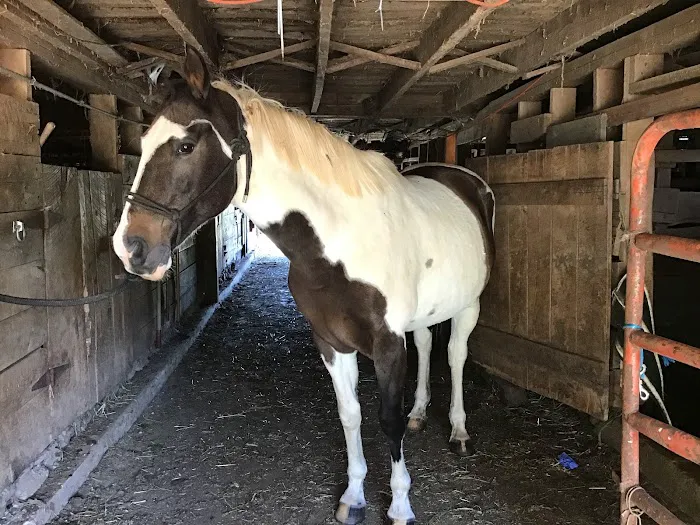 Smokey Mountain Mobile Veterinary Service Picture 2