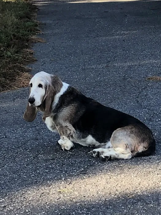 Smokey Mountain Mobile Veterinary Service Picture 9