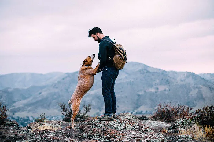 Mountain Top Canine Rehab Picture 2