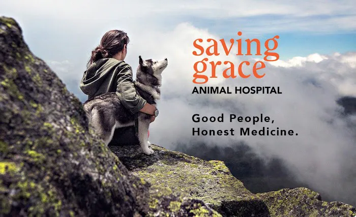 Saving Grace Animal Hospital Picture 1
