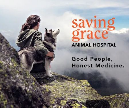 Saving Grace Animal Hospital