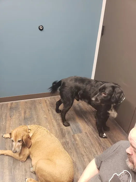 Saving Grace Animal Hospital Picture 7