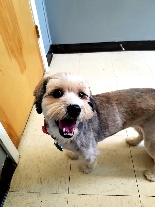 Canton Animal Hospital PA Picture 1