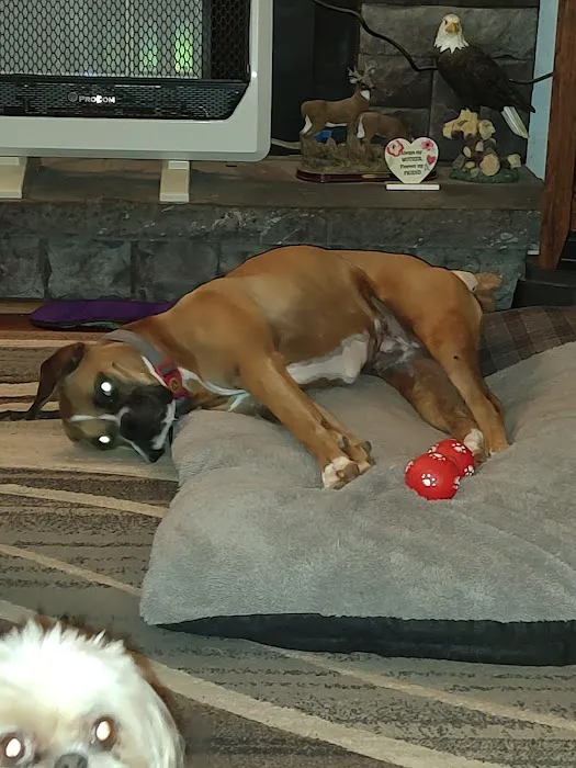 Canton Animal Hospital PA Picture 8