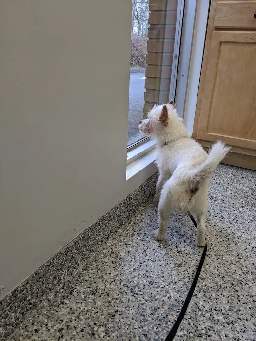 Open Door Veterinary Care Picture 3