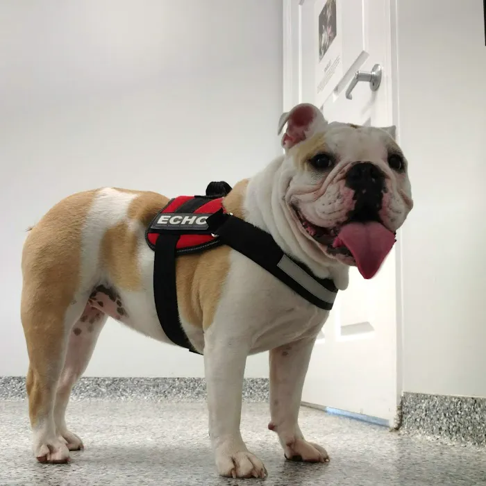 Open Door Veterinary Care Picture 6