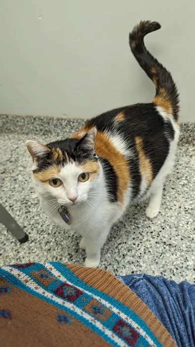 Open Door Veterinary Care Picture 10