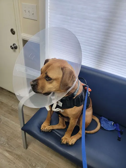 Skyland Animal Hospital Picture 4