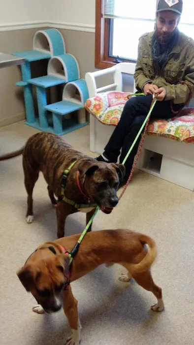 Skyland Animal Hospital Picture 1
