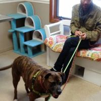 Skyland Animal Hospital ico