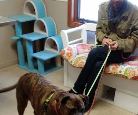 Skyland Animal Hospital