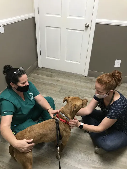 Skyland Animal Hospital Picture 2