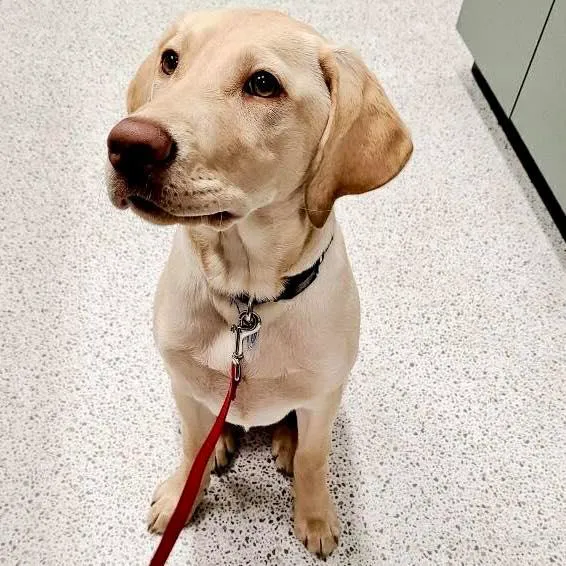 Evergreen Veterinary Hospital Picture 5