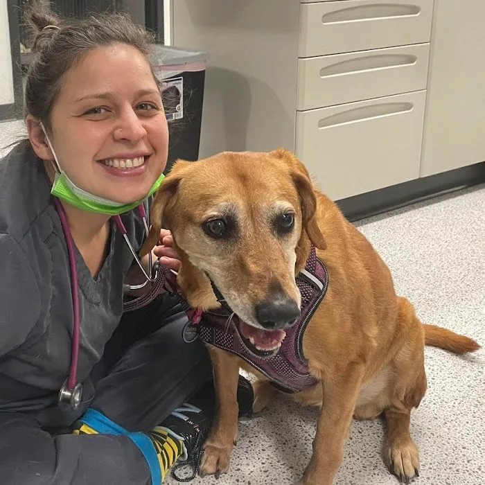 Evergreen Veterinary Hospital Picture 9