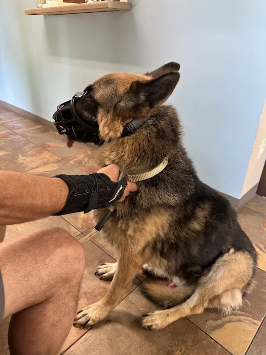Inman Animal Hospital Picture 3