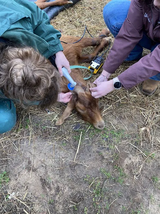 Orchard Hill Vet Clinic Picture 10