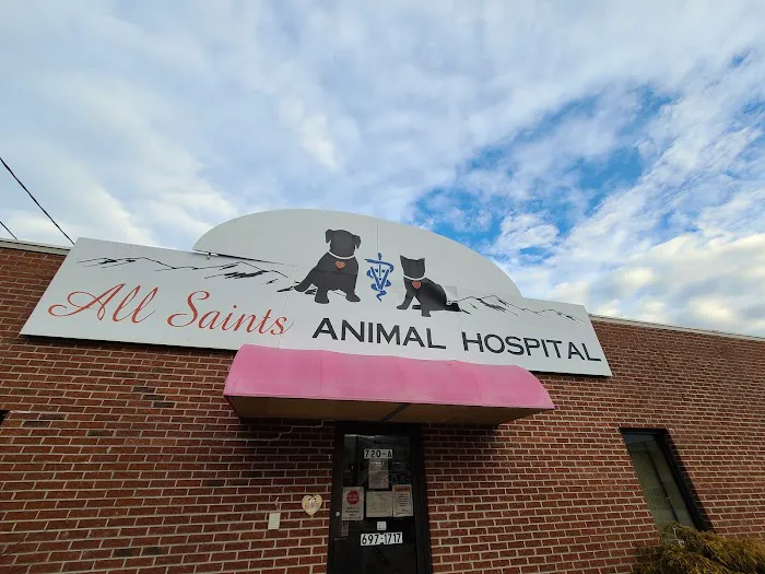 All Saints Animal Hospital Picture 3