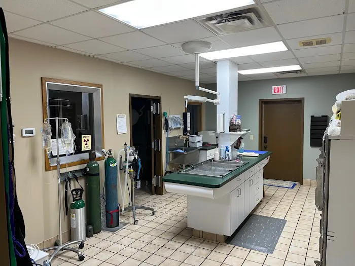 Animal Care Hospital Picture 6