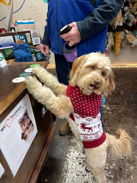 Hendersonville Veterinary Hospital Picture 7