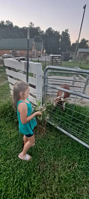 Animals R Us Picture 6
