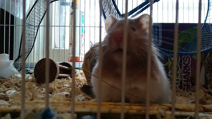 Animals R Us Picture 10